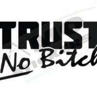Sticker Auto TRUST No Bitch