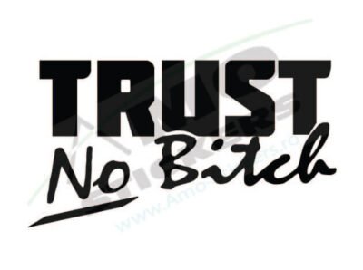 Sticker Auto TRUST No Bitch