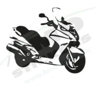 Sticker Auto Scuter
