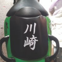 Ninja Kawasaki