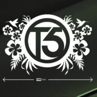 Sticker Auto Transporter T5