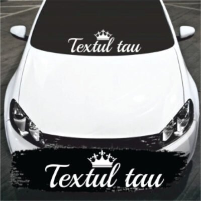 Sticker Auto Textul Tau Parbriz