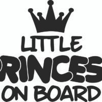 Baby on Board Little Princess