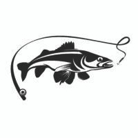Sticker Auto Pescari 6