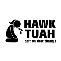 hawk tuah