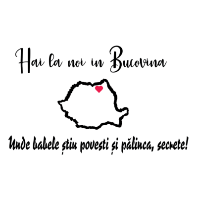 Hai la noi in Bucovina Stickere Auto