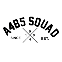 Sticker Audi A4B5 SQUAD