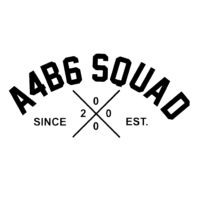Sticker Audi A4B6 SQUAD