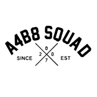 Sticker Audi A4B8 SQUAD