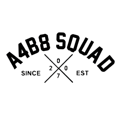 Sticker Audi A4B8 SQUAD