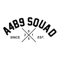 Sticker Audi A4B9 SQUAD