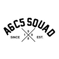 Sticker Audi A6C5 SQUAD