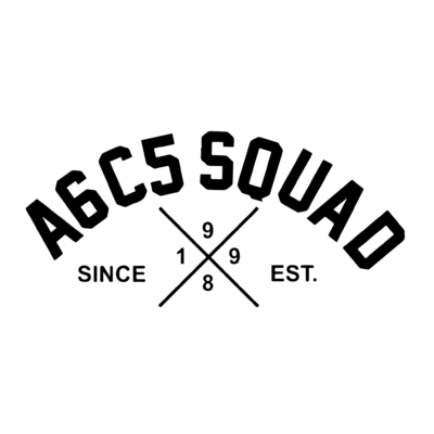 Sticker Audi A6C5 SQUAD