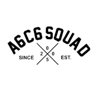 Sticker Audi A6C6 SQUAD
