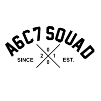 Sticker Audi A6C7 SQUAD