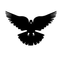 Sticker Auto Porumbel 2