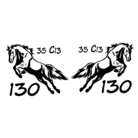 Set Stickere IVECO C130