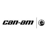 Sticker Can am BRP