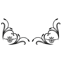 Set Stickere DAF geamuri 2