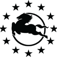Sticker IVECO STARS